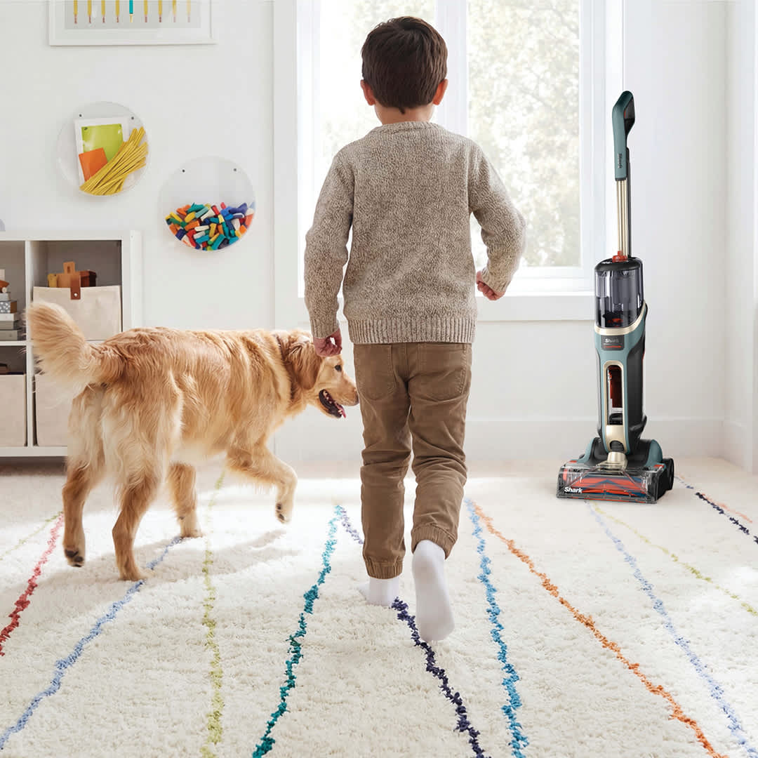 Shark® CarpetForce™ Upright Carpet Cleaner | SharkNinja